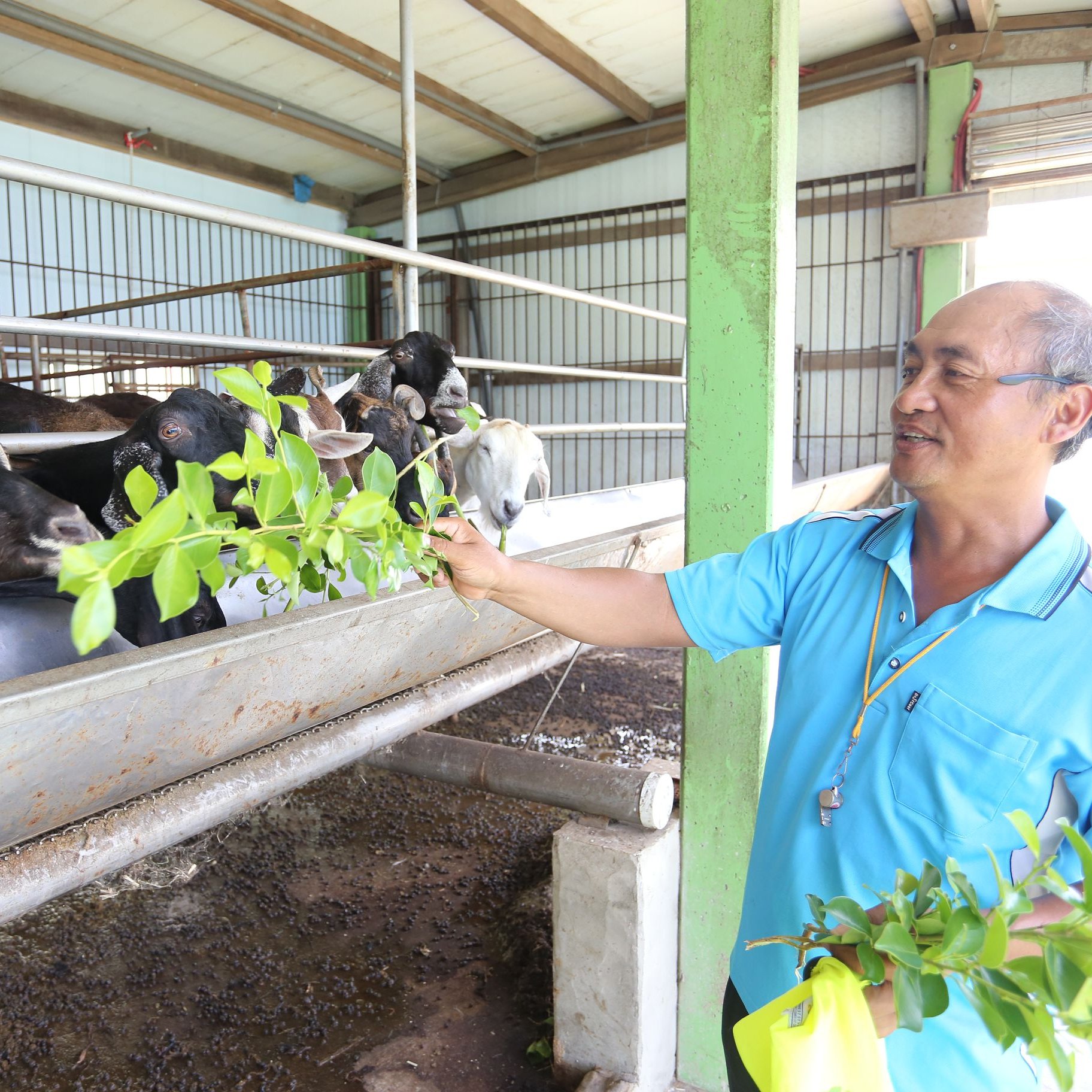 牧羊女親子主題園區